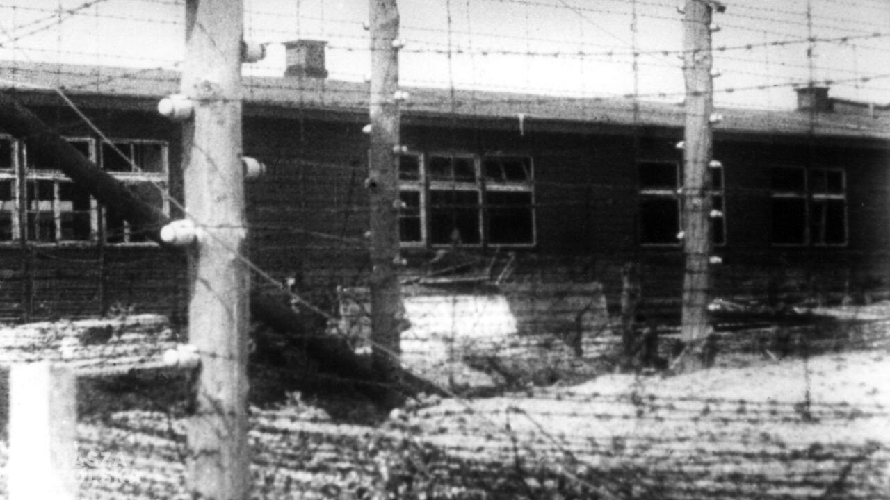 Zbrodniarze w kitlach. Jak lekarze uciekali przed odpowiedzialnością i sumieniem