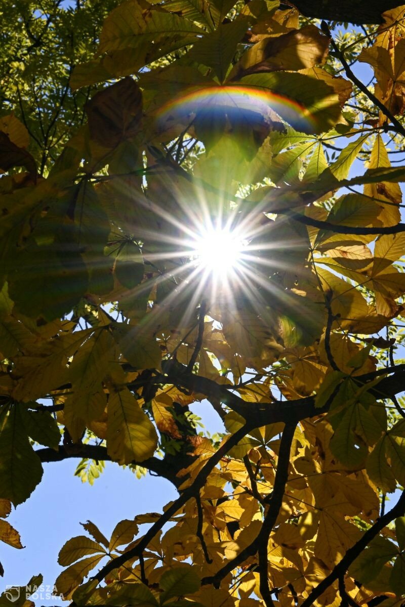 Bomba ciepła nad Polską; w poniedziałek nawet 23 st. C