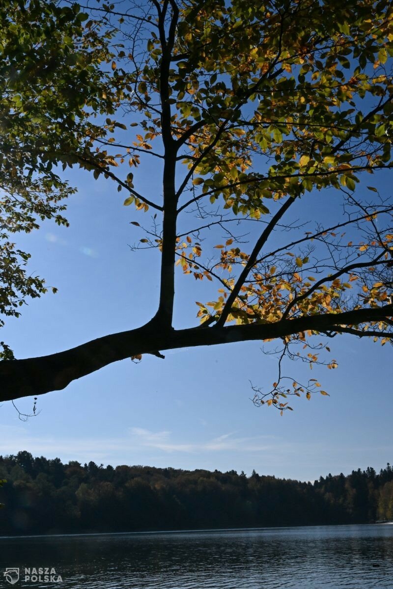 W niedzielę chwilowa poprawa pogody