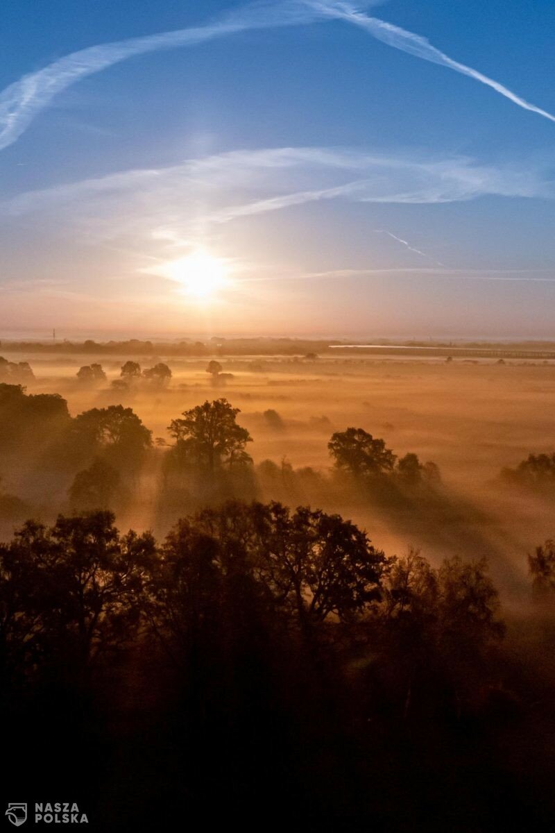 Początek tygodnia wietrzny i stosunkowo ciepły