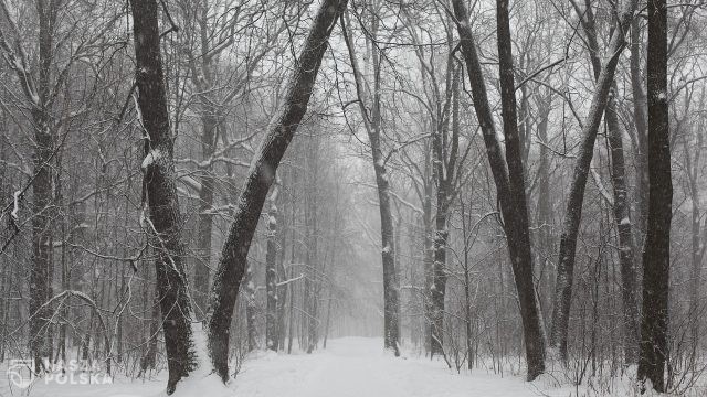 IMGW wydało ostrzeżenie pierwszego stopnia. Temperatura może miejscami spaść do -25℃