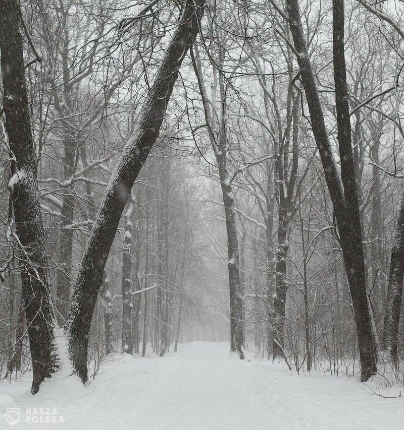 IMGW wydało ostrzeżenie pierwszego stopnia. Temperatura może miejscami spaść do -25℃