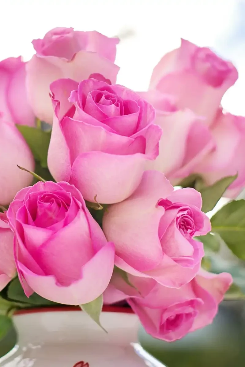 Kara Prezesa UOKiK dla Poczty Kwiatowej