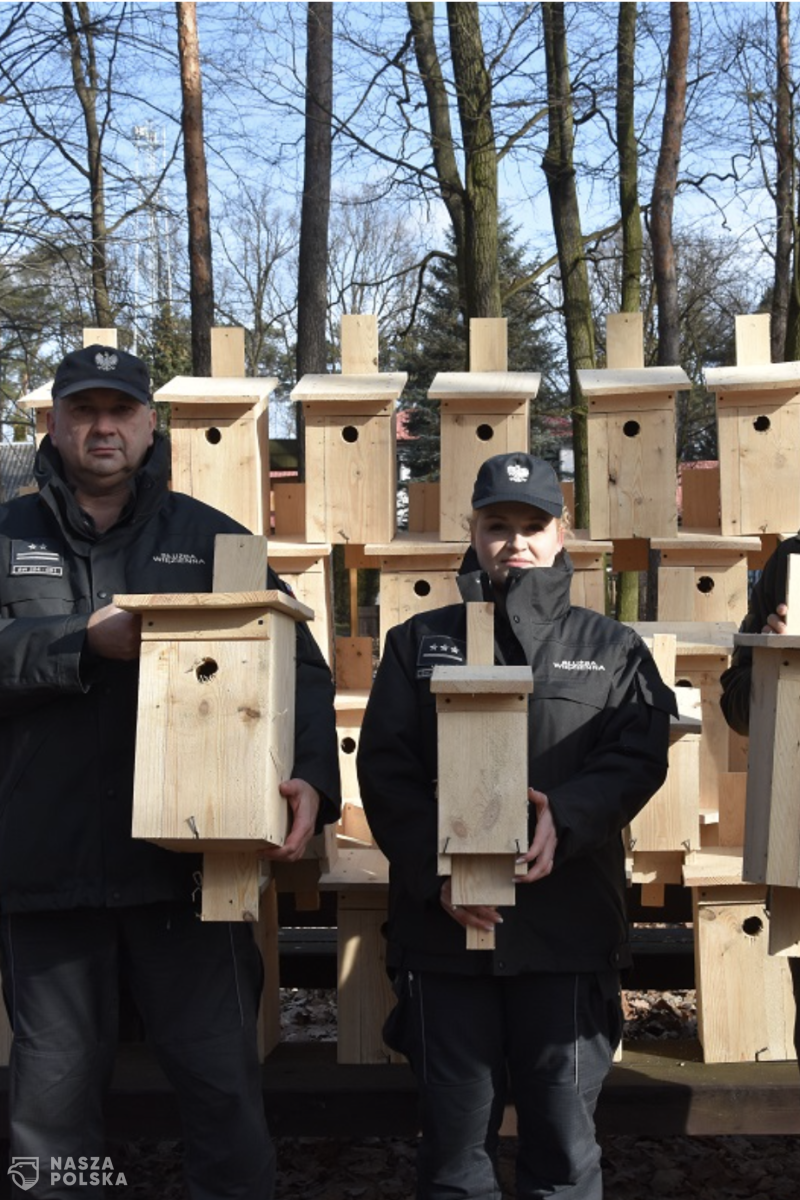 Lasy dla więźniów, więźniowie i lasy dla przyrody