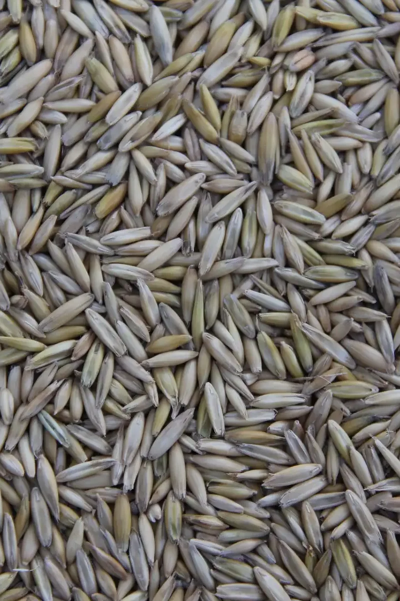 Wszedł w życie czasowy zakaz importu żywności z Ukrainy