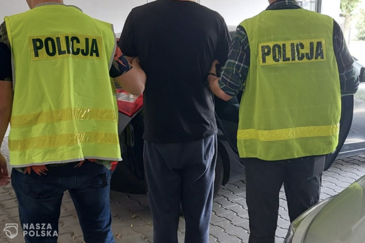 Podróż z niemowlakiem: 30 wykroczeń, dwie kolizje, 241 punktów karnych Podróż z niemowlakiem: 30 wykroczeń, dwie kolizje, 241 punktów karnych