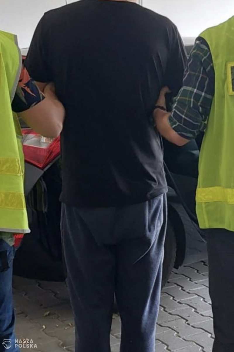 Podróż z niemowlakiem: 30 wykroczeń, dwie kolizje, 241 punktów karnych