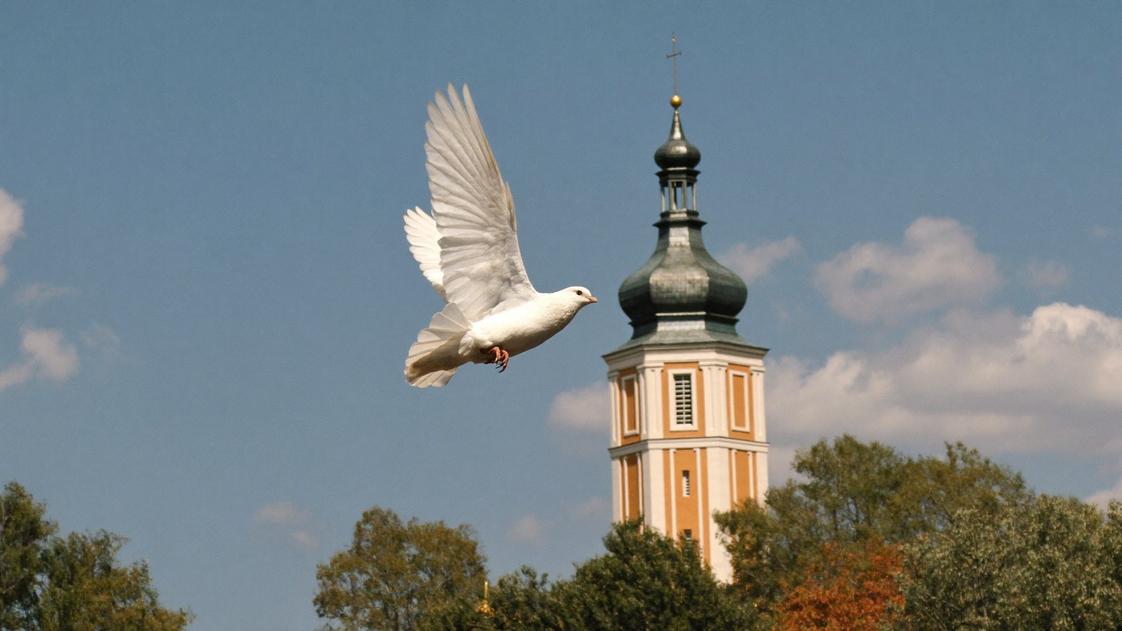 Biały gołąb w locie nad wieżą kościoła zwieńczoną krzyżem