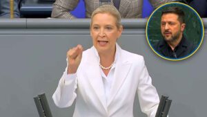 AfD Ukraina Unia Europejska