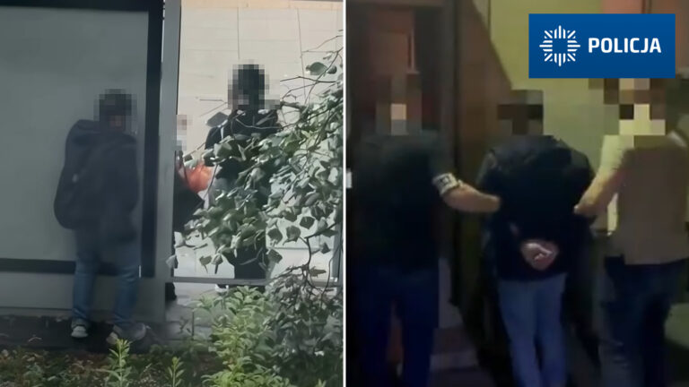 Zatrzymanie 36-letniego obywatela Azerbejdżanu i kadr z przystanku przy Hali Kopińskiej w Warszawie
