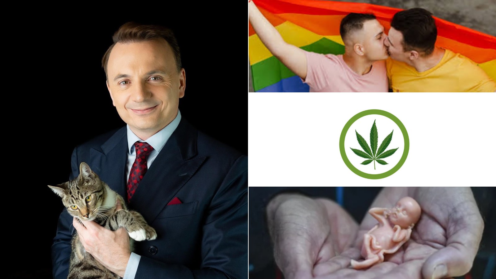 Łukasz Gibała z kotem, obok para mężczyzn z tęczową flagą, liść konopi i model płodu w dłoniach