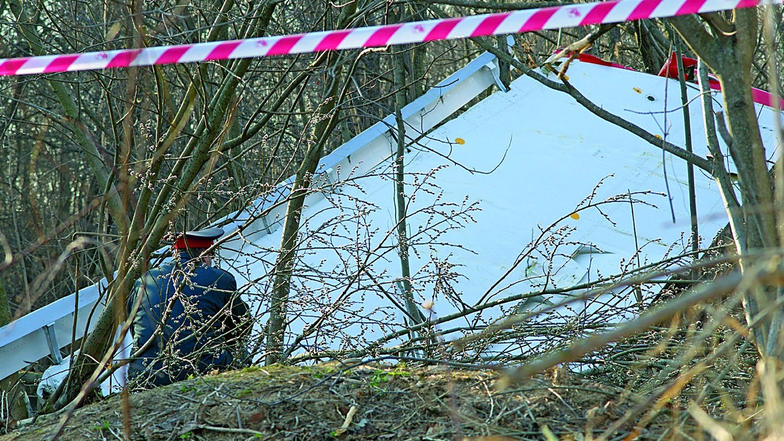 Fragment oderwanego skrzydła Tu-154M w Smoleńsku, spór o pancerną brzozę